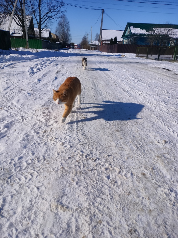 Поздравление с 23 февраля