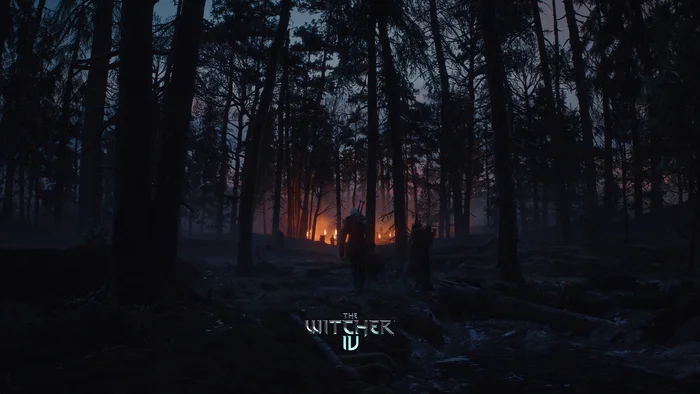 Pictures for the monitor screen for the game The Witcher 4 and The Witcher 3 - My, The Witcher 3: Wild Hunt, The Witcher 4, Images, Gamers, Familiarization, Screenshot, Computer games, Witcher, Longpost