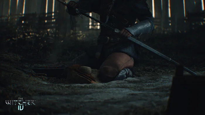 Pictures for the monitor screen for the game The Witcher 4 and The Witcher 3 - My, The Witcher 3: Wild Hunt, The Witcher 4, Images, Gamers, Familiarization, Screenshot, Computer games, Witcher, Longpost