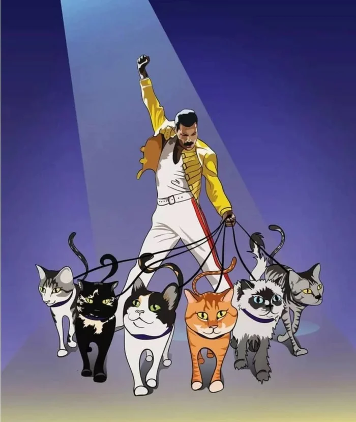 Одинокий любитель кошек - Текст, Кот, Рок, Фредди Меркьюри, Queen, Длиннопост, Картинки