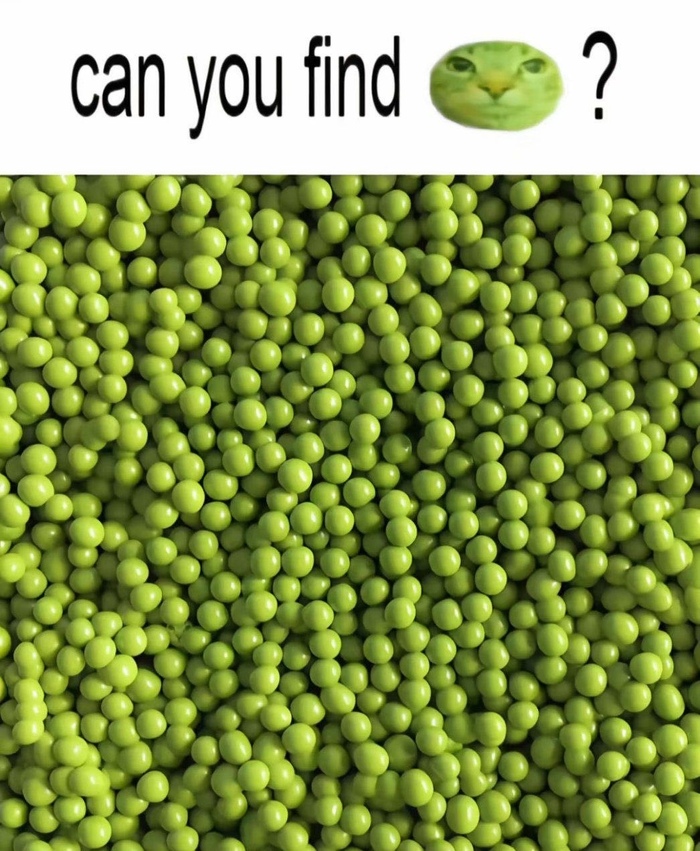     , ,  , 