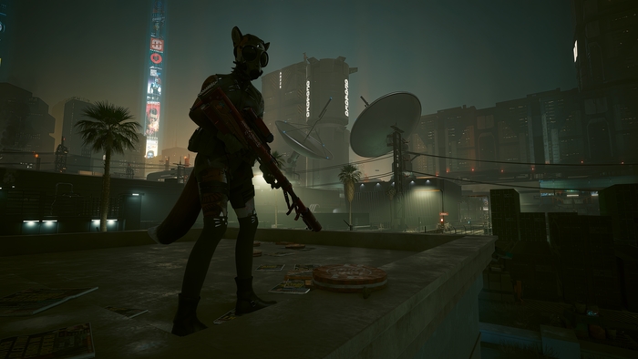   Cyberpunk 2077 #37 Foxy V