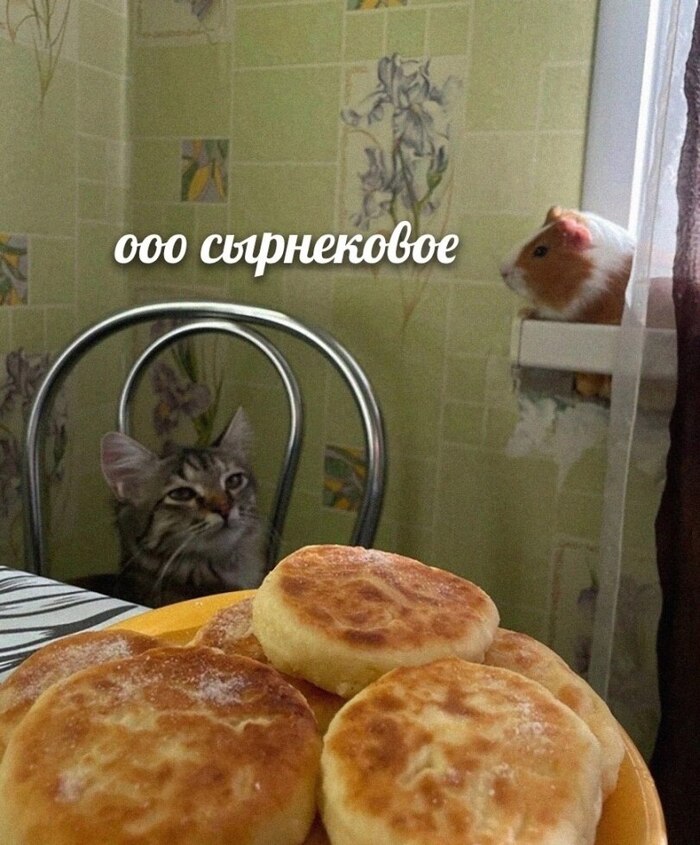    , , , 