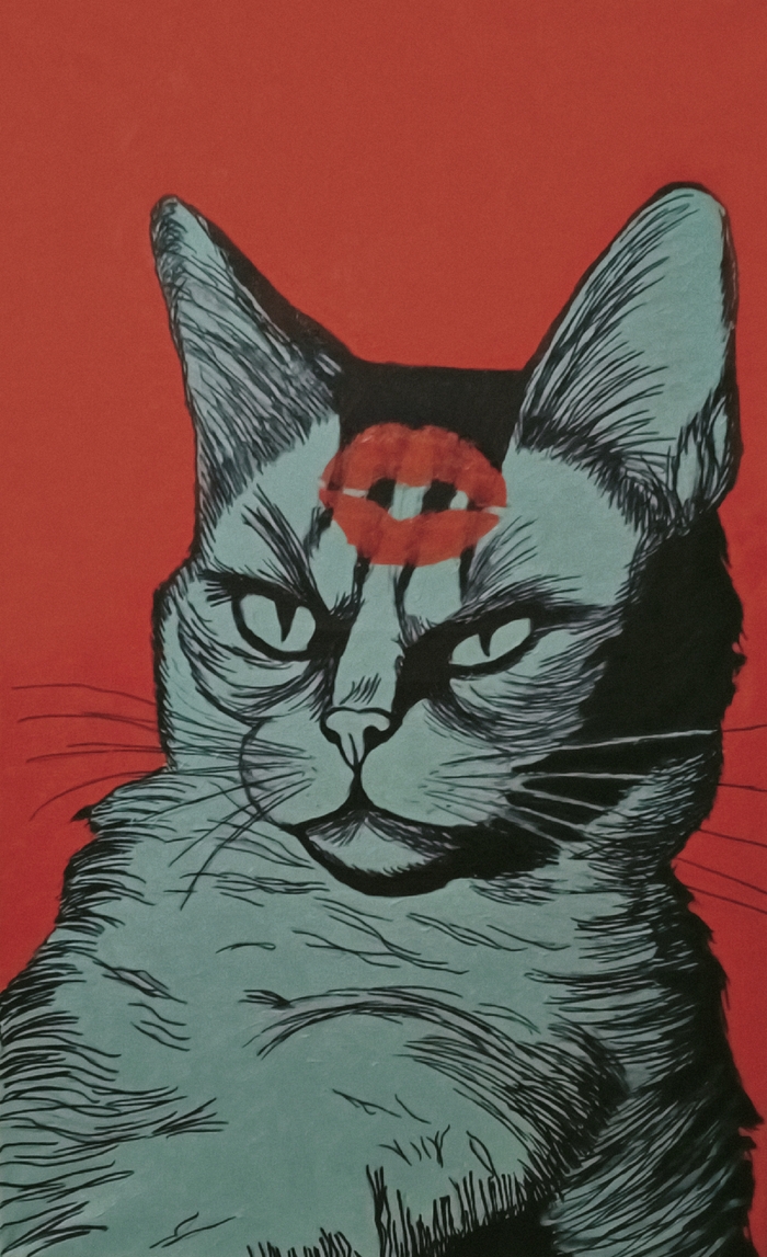 �����, �����, 50×80