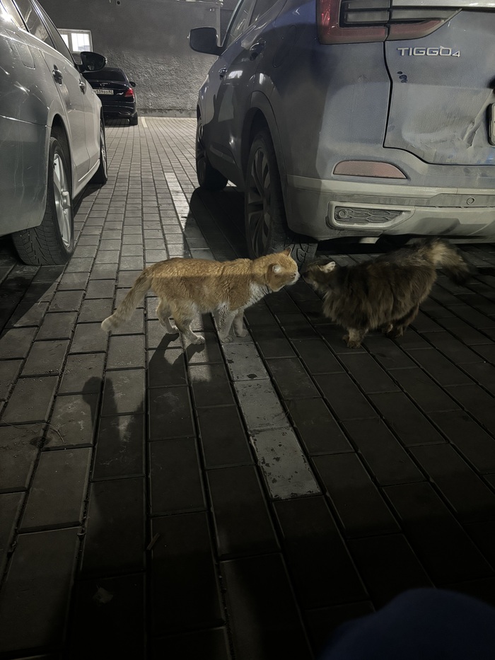 ������� �����-�� 