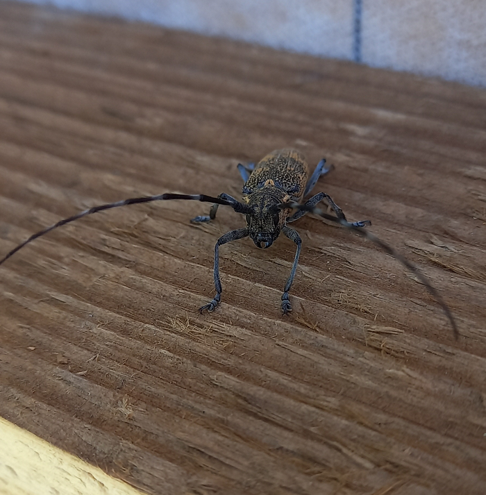 �������� �� ��, ��� �����-��������� ��������� ����������� (����� ��, �� ������������, � ���� ����� ������ � ���������), ������ �� ��� �������� � ������� �����.