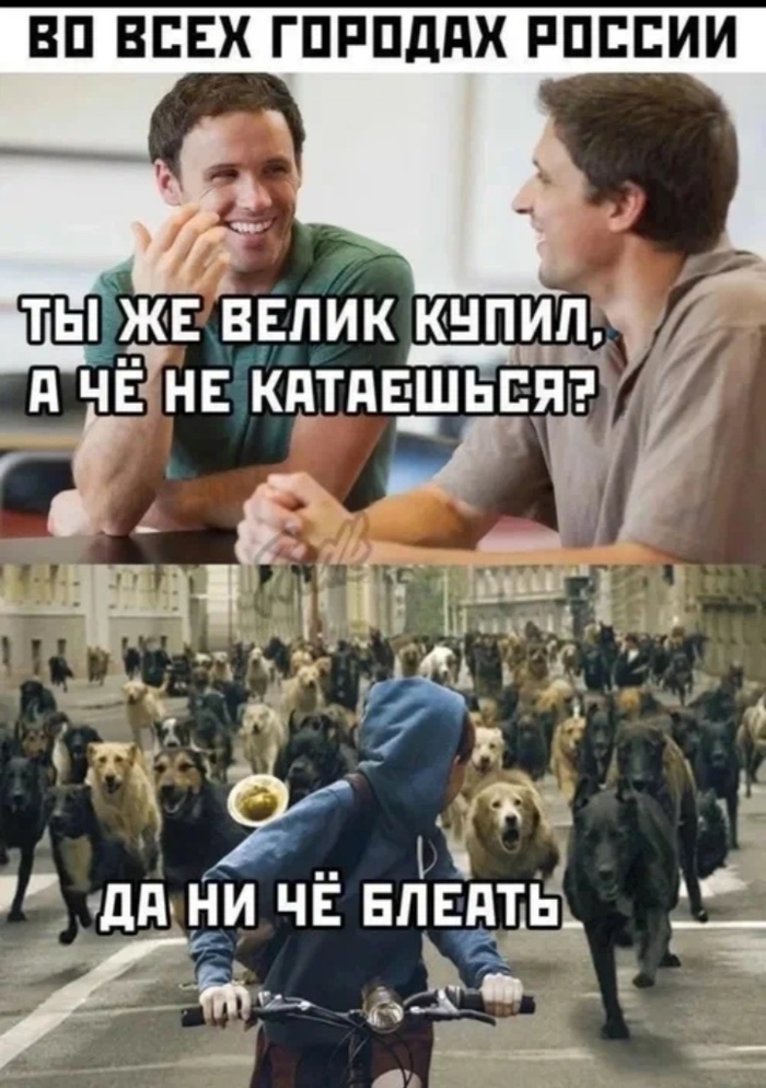     ,   ,  , , , , , , , , , , ,  ,  