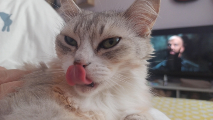 Редкий кадр пушистой