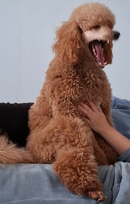  ,  , 