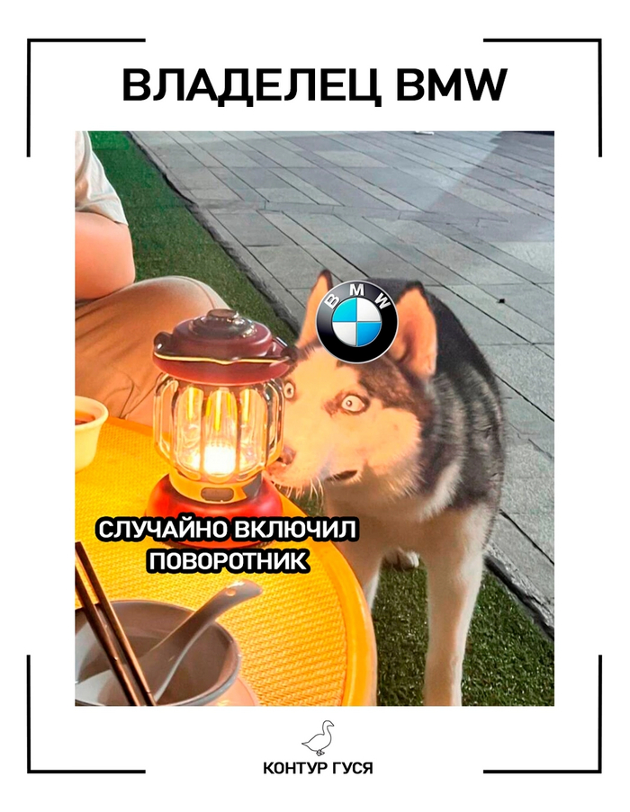 Поворотники