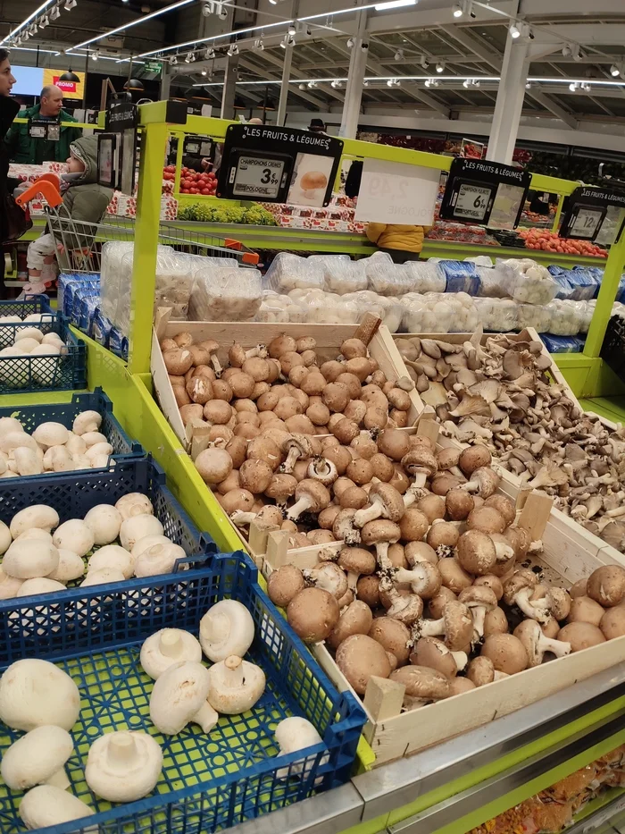 Цены Франции Цены, Продукты, Франция, Париж, Путешествия, Уровень жизни, Длиннопост