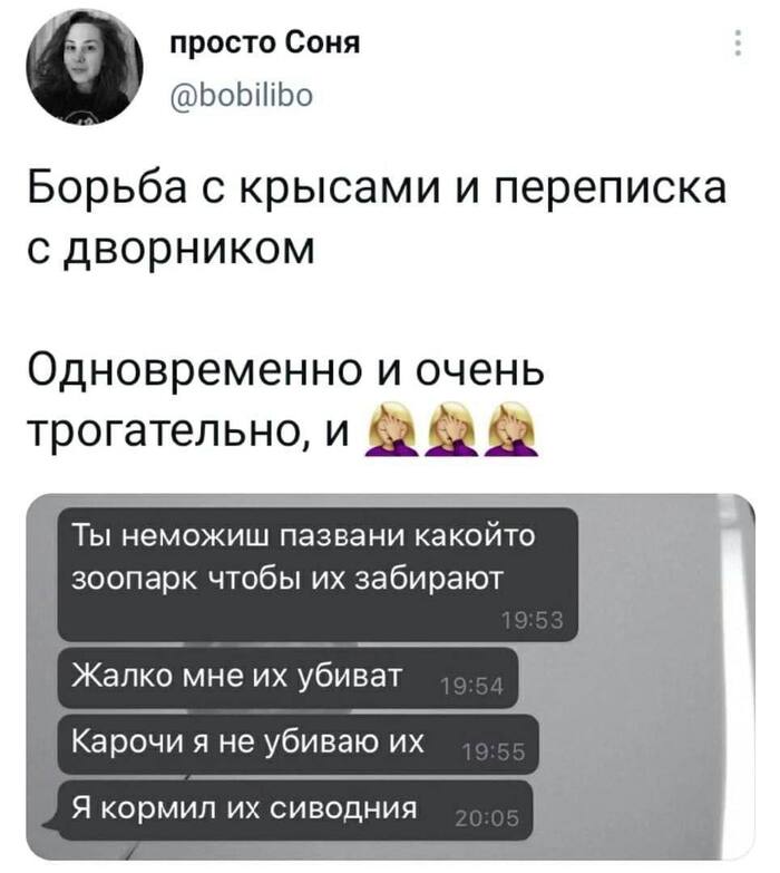    , , , , X (Twitter), 