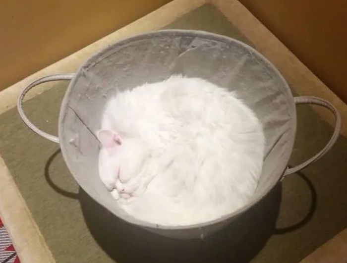   ,    , , , , 