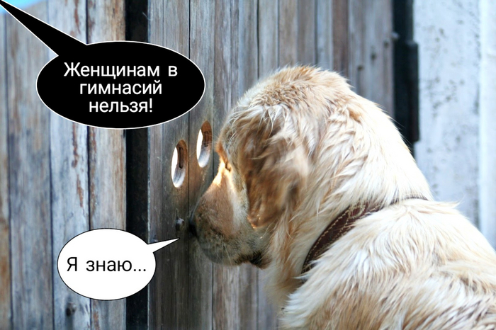 Слово «гимназия» произошло от греческого gymnos — «голый, обнажённый, раздетый»