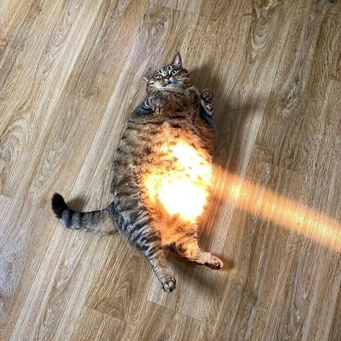  ,  ,  