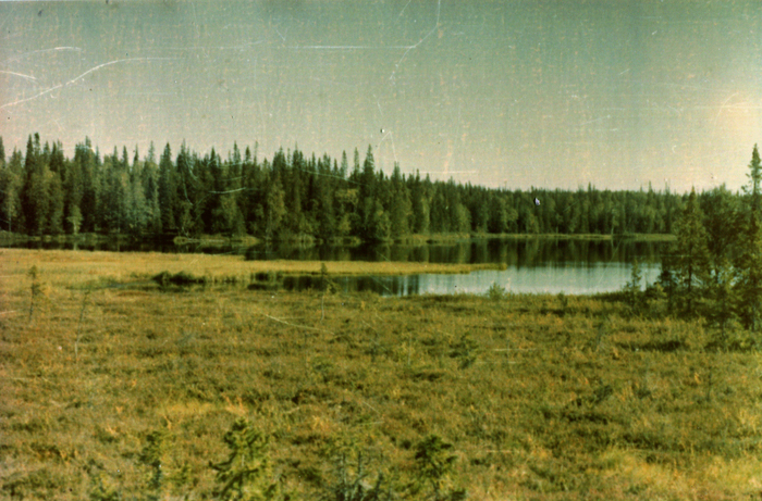 � ��� � ���� �����.