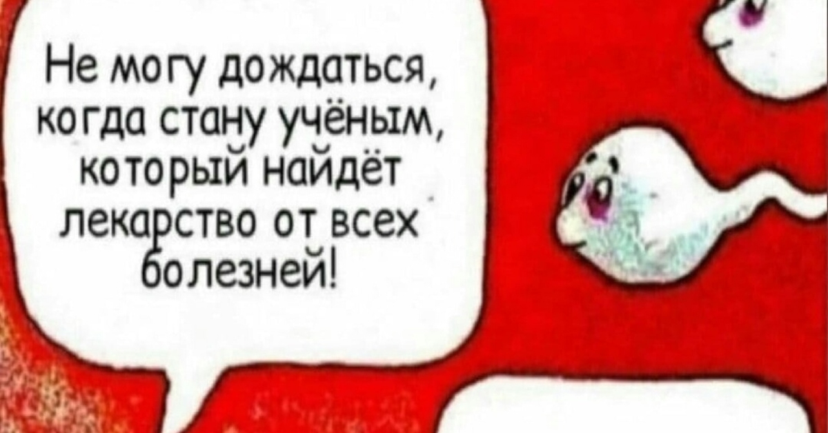 Пикамемы