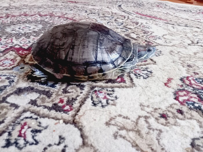  ,    ,  , ,  ,  , , , , , , , , , , ,  , 