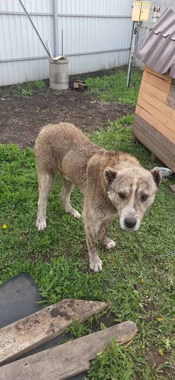 В день, когда забрали