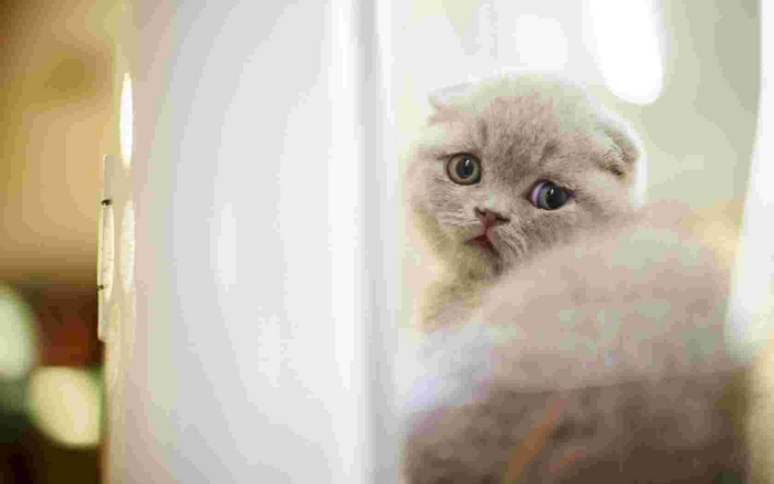 ������, �������, ���� � ����