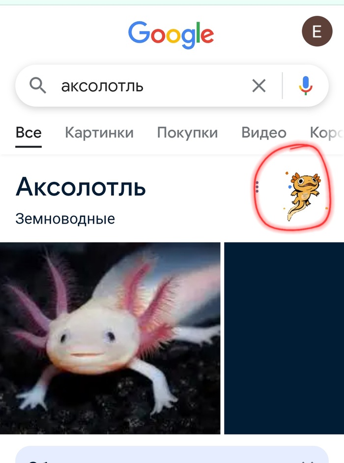    , Google, , , ,  , 