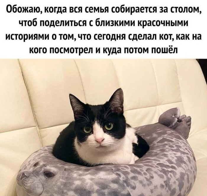 :  ". ()"  7703380158