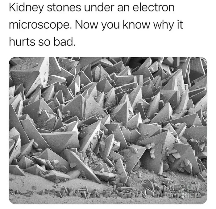       ,   , , 