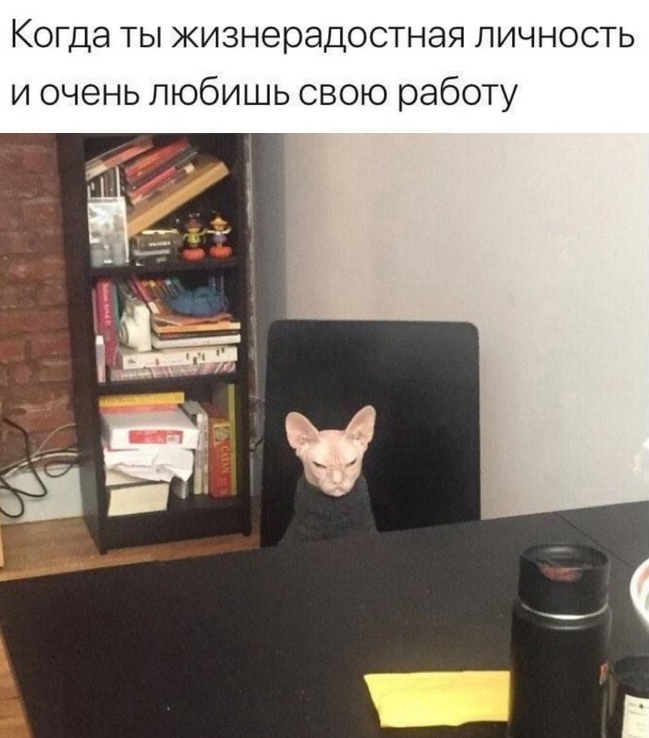 Очень любишь свою работу