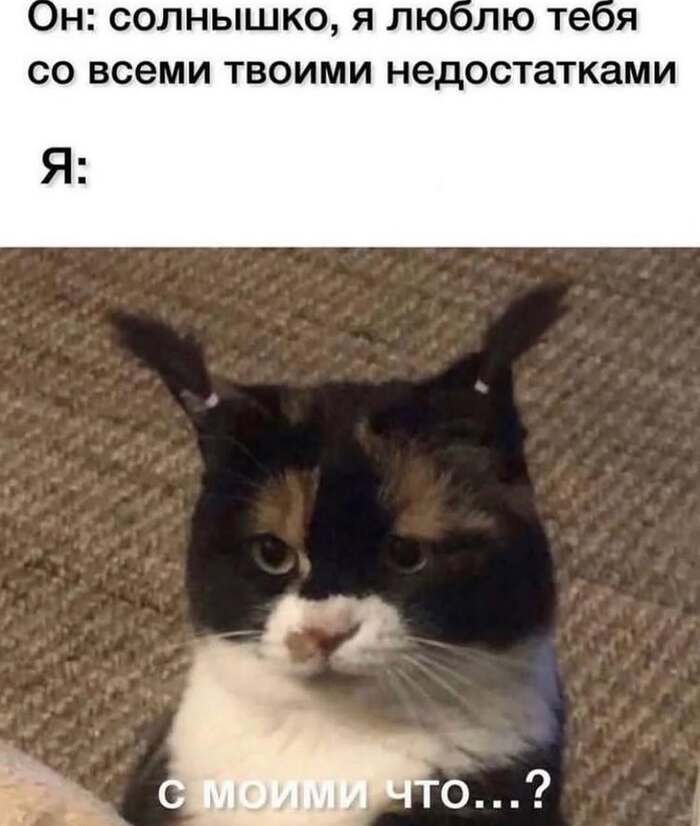 У королев не может юфть недостатков