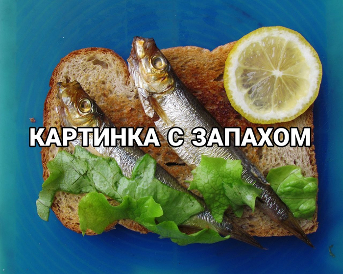 «Каким образом из балтийской кильки получаются ШПРОТЫ?»