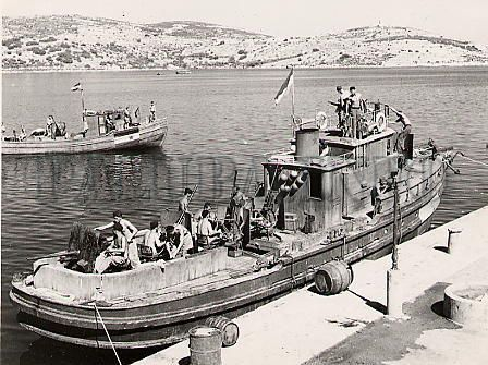 Канонерская лодка NB3 "Jadran", бывший буксир (на заднем плане - неопознанный патрульный катер)