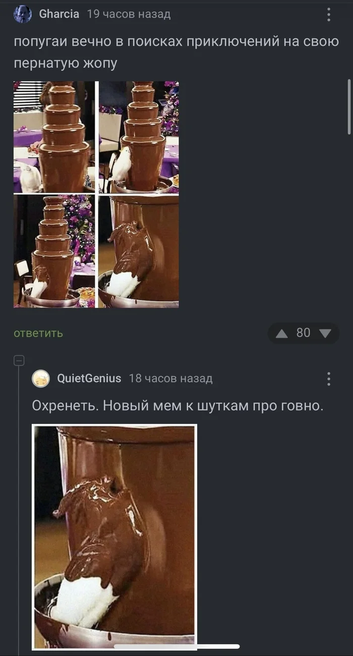 Parrot with watermelon jokes about - Memes, A parrot, Comments on Peekaboo, Screenshot, Chocolate fountain