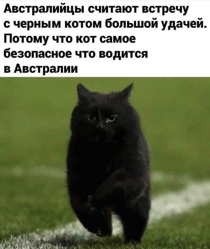    ,   , , ,  , 