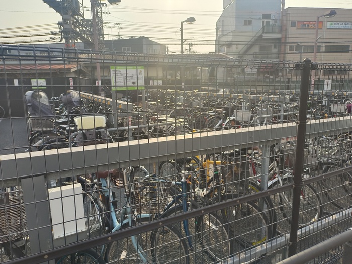          .    ,      ,       .           .