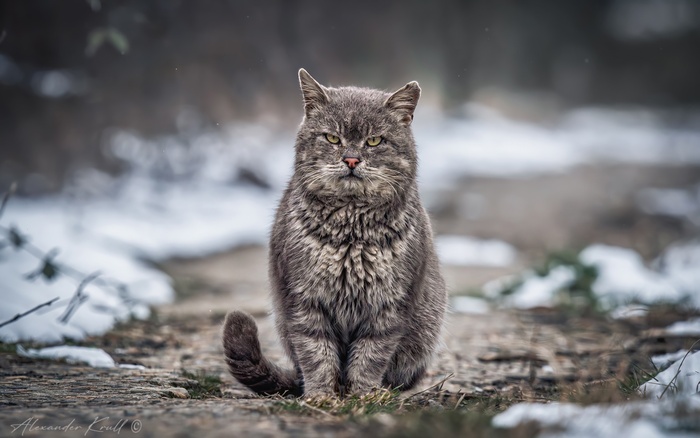 Автор фото: Круль Александр