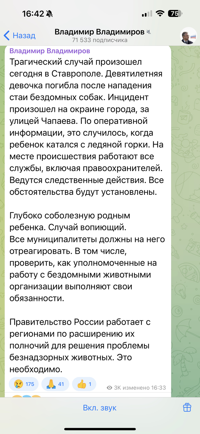 Еще одна жертва бродячих собак