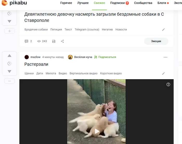 Новости на Пикабу, трагичные и разные - Картинка с текстом, Без звука, Фотография, Скриншот, Собака