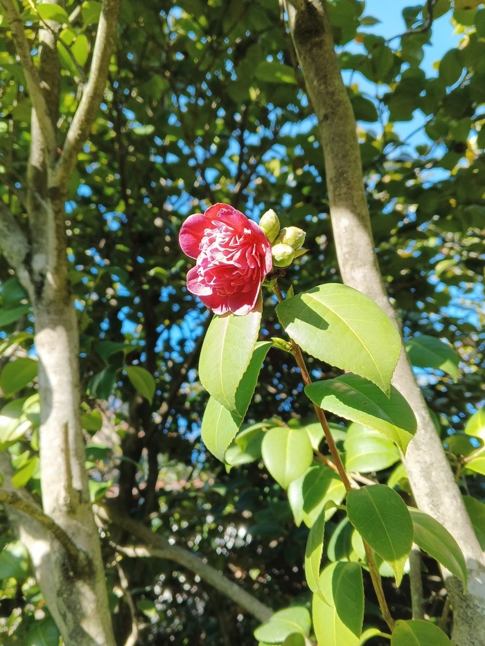 ���� �� �������� ��������� ���� ������