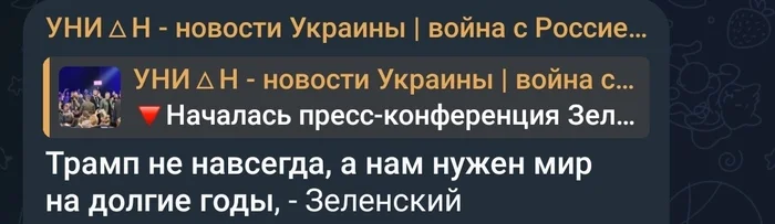 Ничего не должен - Украина, Политика, Скриншот, Длиннопост, Владимир Зеленский, Дональд Трамп, Мат