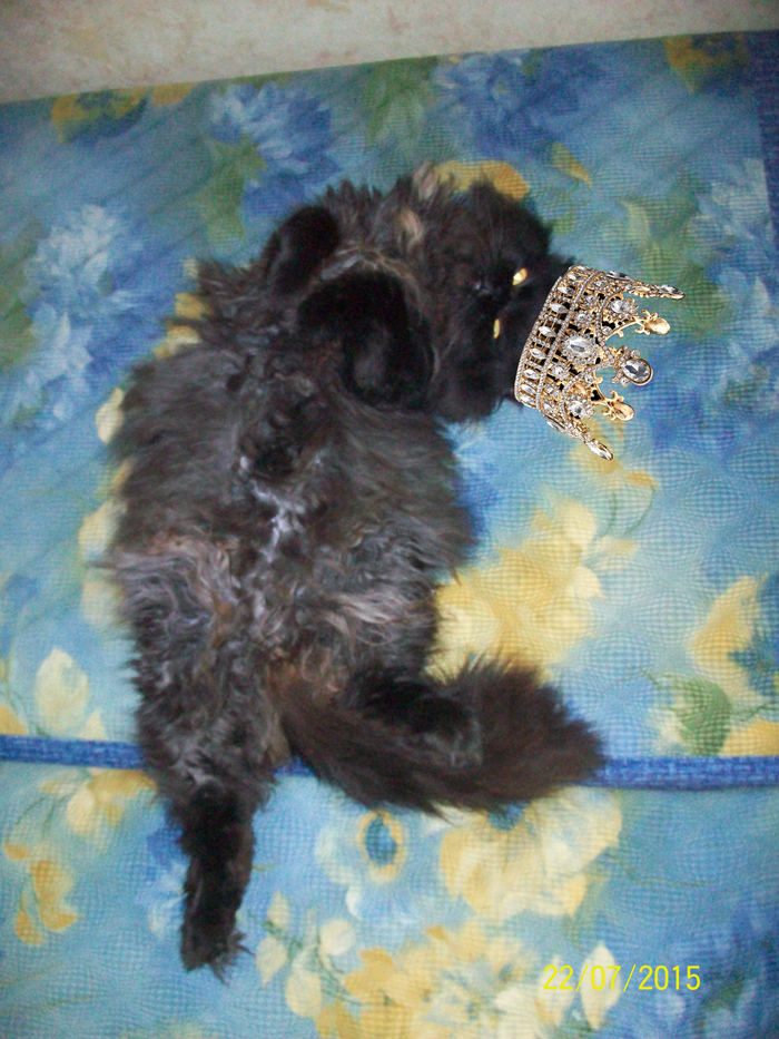 "� ���� � ���!"