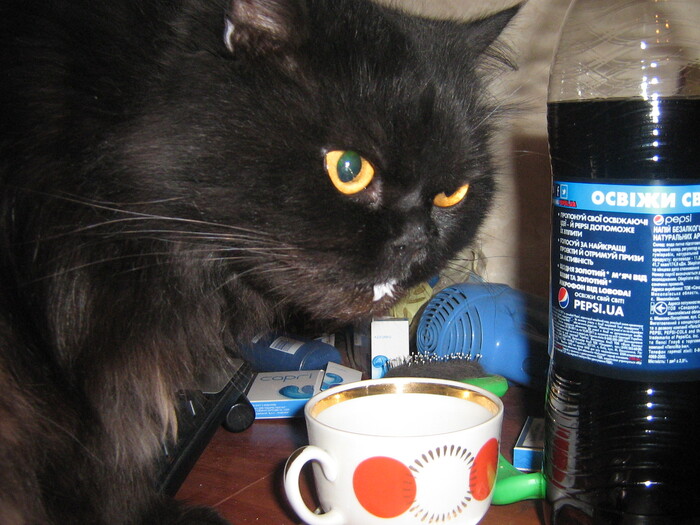 "���� ������ ���������, ������� ������� ���� �� ������������� ��� ����" :))