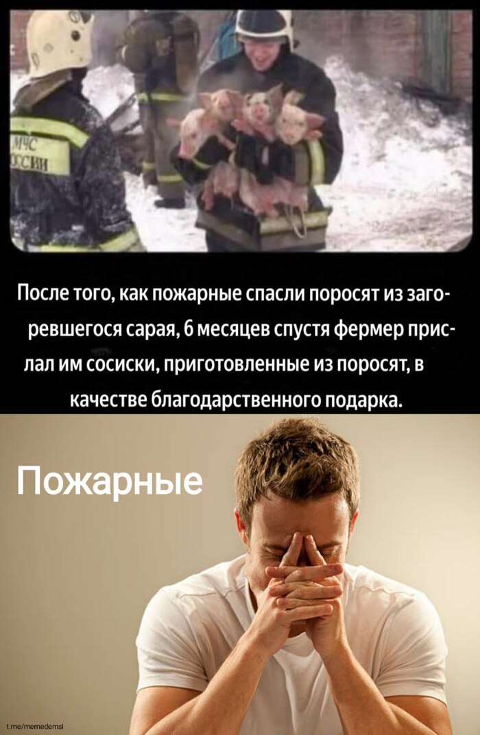       ,   , , , Telegram ()