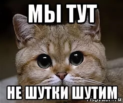   .  , , , , , 