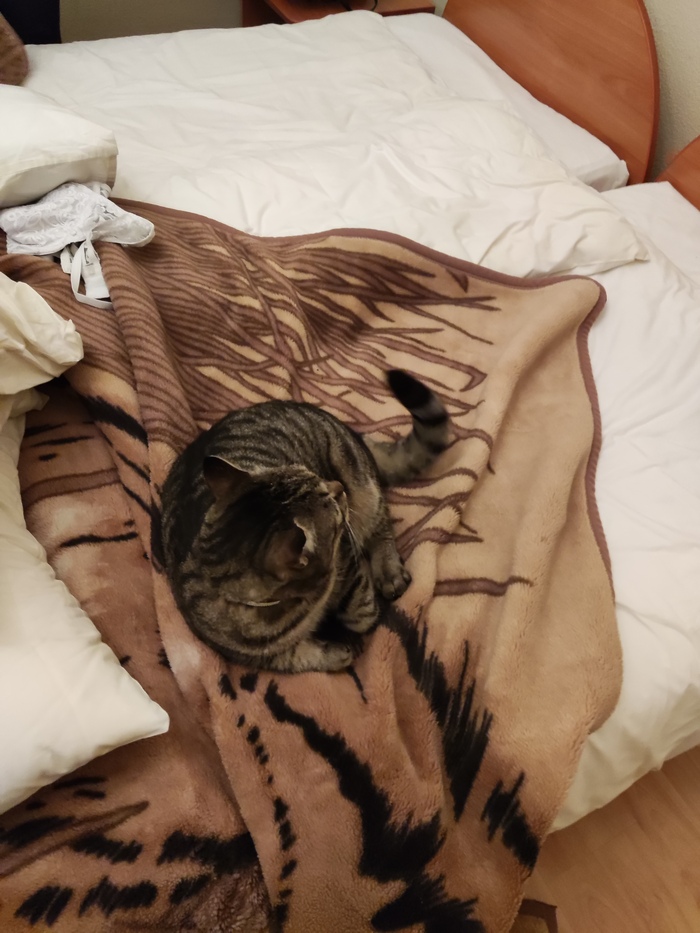 ���� ���� �� ��������.