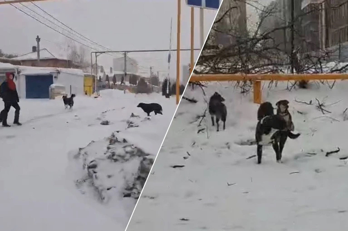 �������� ������ ����� ������ �� ������� �� �������� � ����������