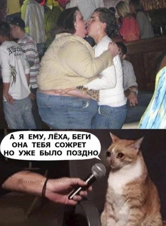 ����, ˸��!