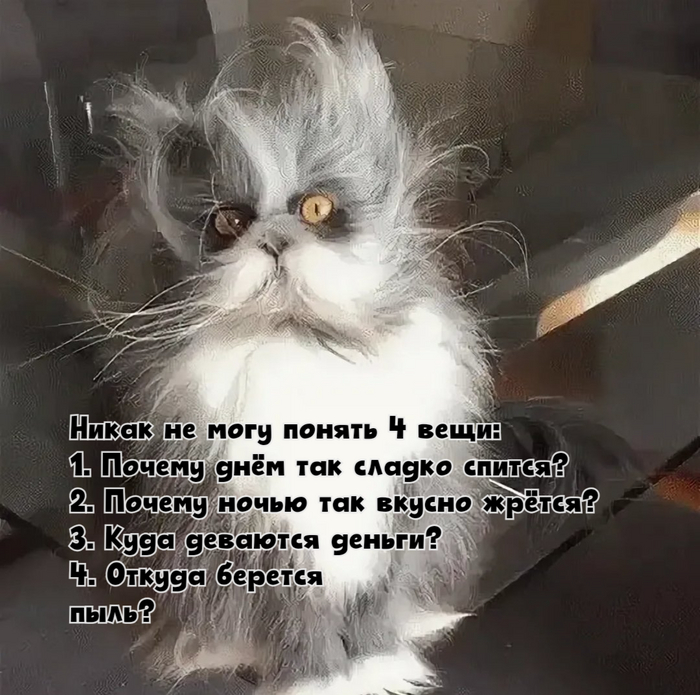   , , , , ,  (), Telegram (), ,   