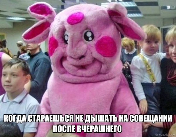  , , ,   , ,  (), Telegram (),  