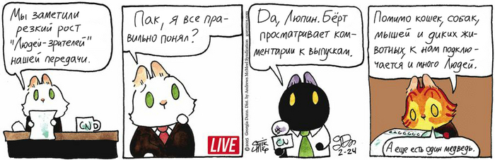 Котейкины Новости от 24.02.2025