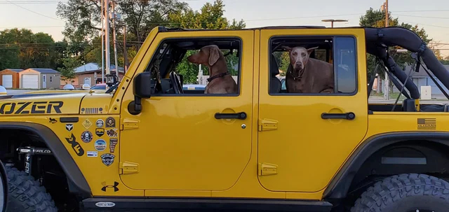 Едут на работу